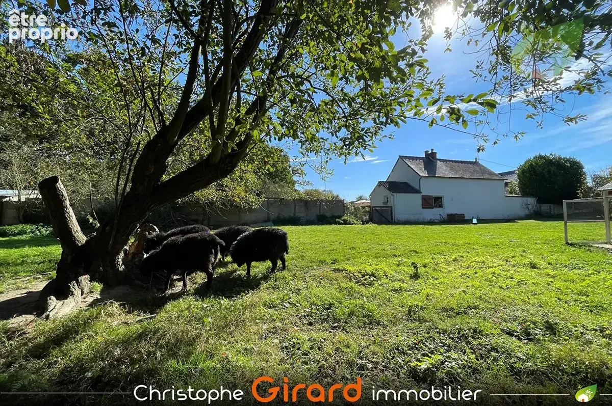 Maison a vendre a miniac morvan (35540) - 4 pieces - photo 13