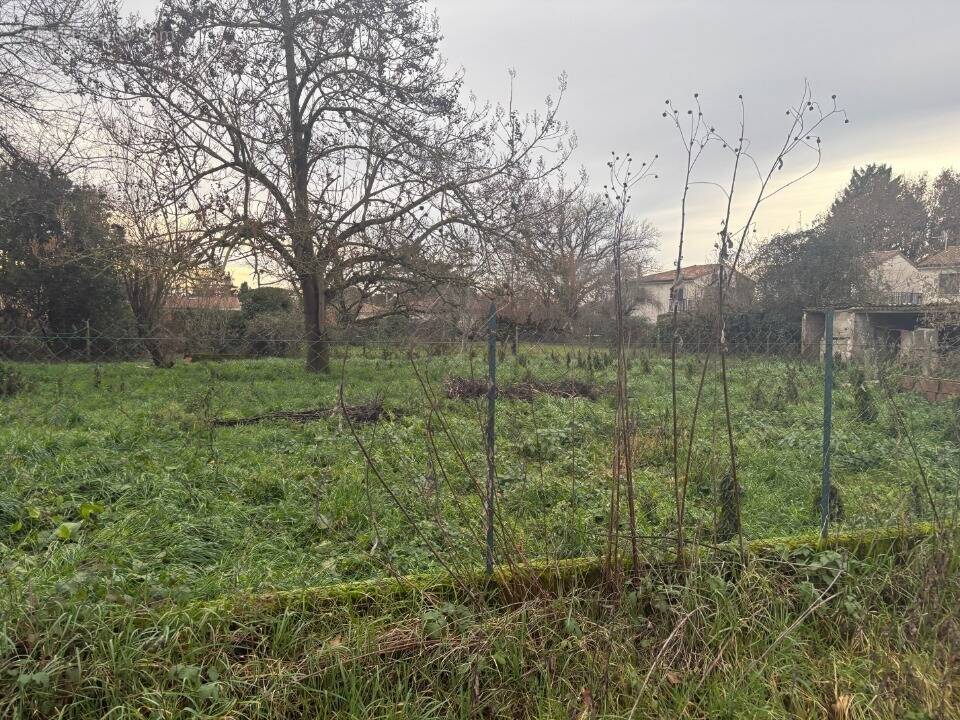 Terrain à VILLEMUR-SUR-TARN