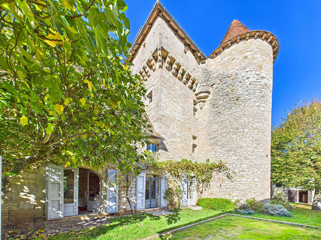 Demeure de Prestige 377m² à ambeyrac - photo 3