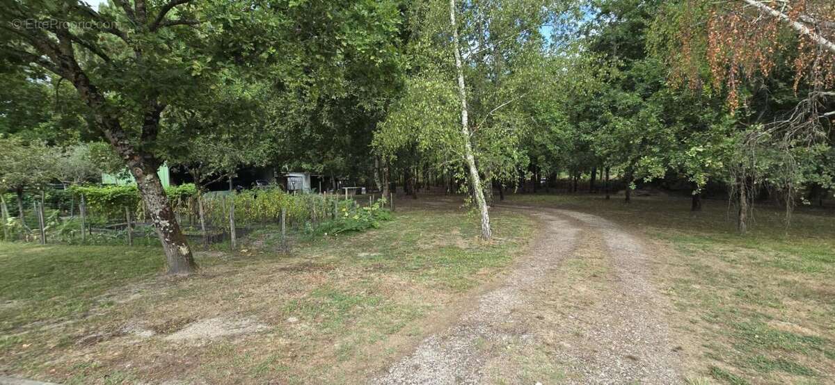Maison en vente à terme occupée à St Vivien De Medoc 122 m2 sur terrain de 3871m2 - photo 3
