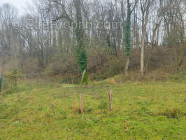 Magnifique terrain a batir de 1150 m2 clos et plat avec viabilisation en bordure situe au calme a 10 mn de bea - photo 2