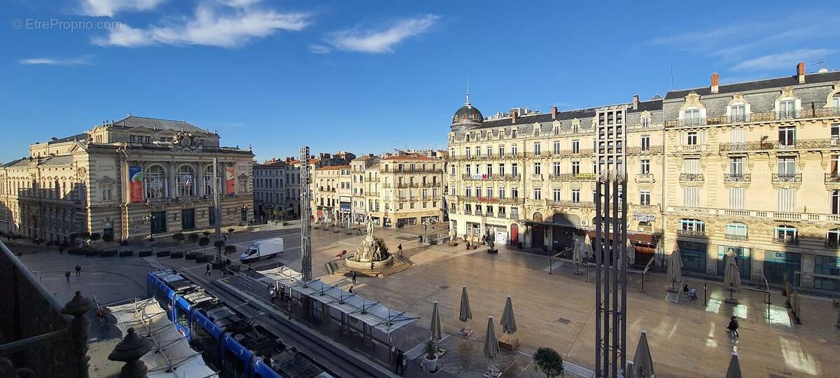 Commerce à MONTPELLIER