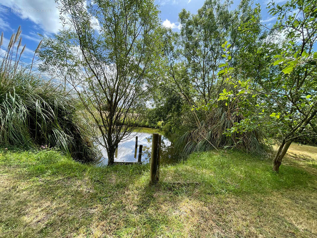 Maison Saint Jean De Monts 130.72m2 - photo 16