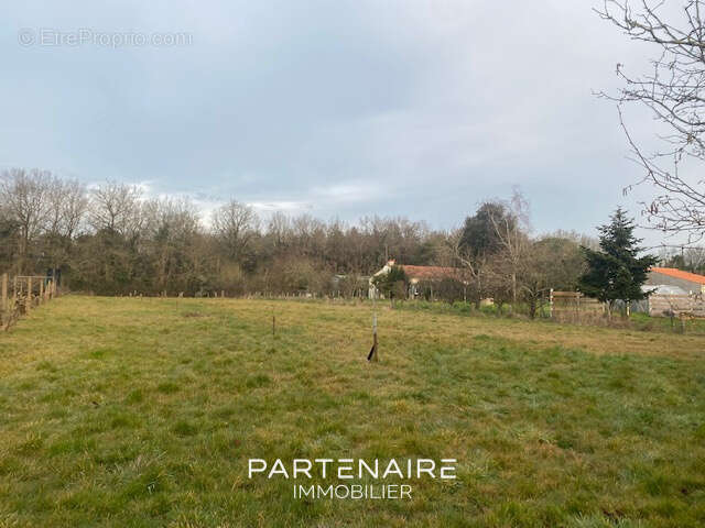 Terrain à TALMONT-SAINT-HILAIRE