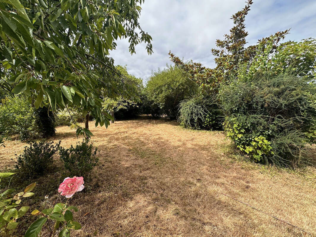 Photo 9 - Maison à OULMES