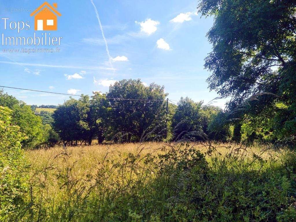 Terrain à PUYJOURDES