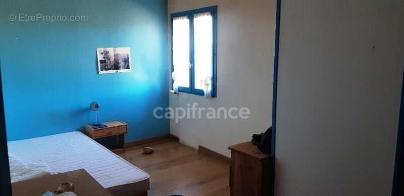 EXCLUSIVITE : Proche de L'ILE ROUSSE, Plaine du Reginu, propriété en pierre T5 161 m² sur 1.96 ha de terrain - photo 10