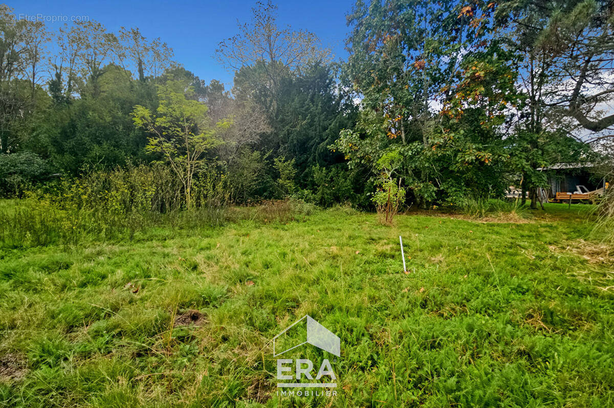 Terrain à SAINT-AUBIN-DE-MEDOC