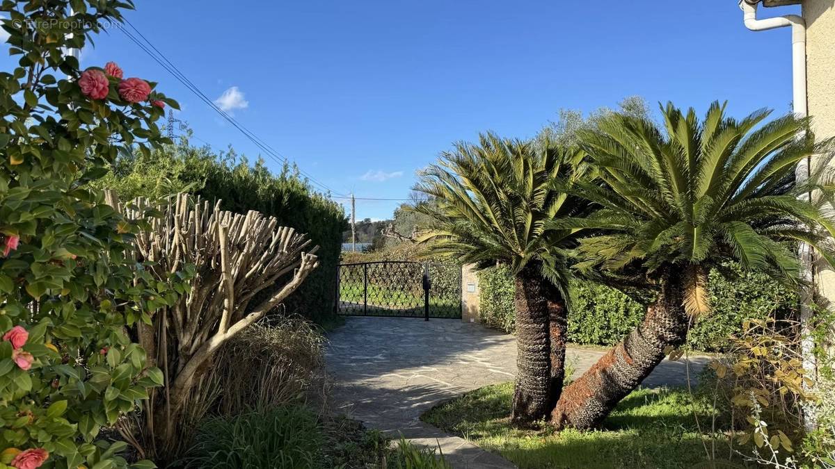 Maison à SANTA-LUCIA-DI-MORIANI