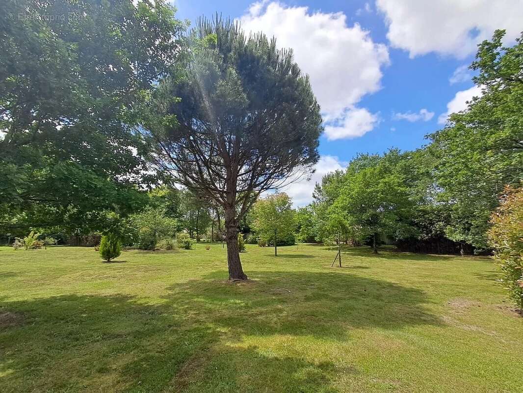 Maison à SAINT-PAUL-LES-DAX