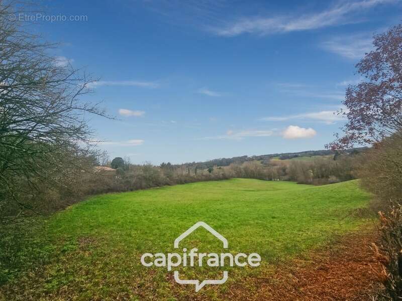 Prairie, terrain de 2.3 hactares avec source - photo 5