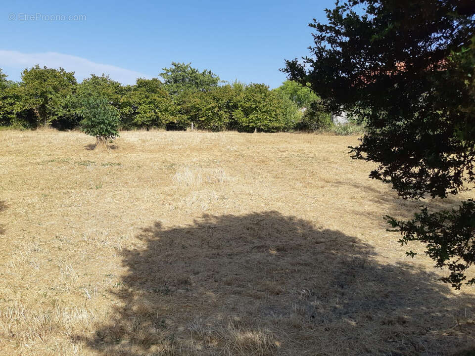 Terrain 1744 m² à Matha  - photo 2