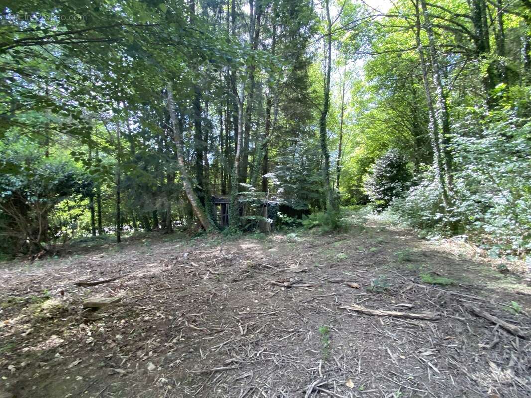 Maison 89 m² à Eymoutiers  - photo 5
