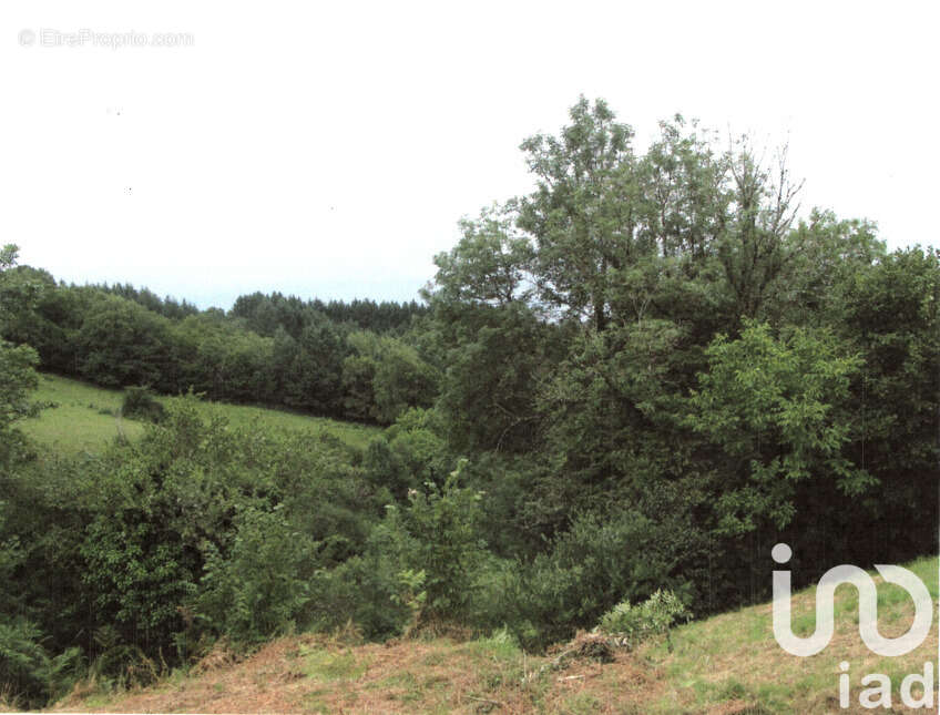 Photo 6 - Terrain à BEAUMONT