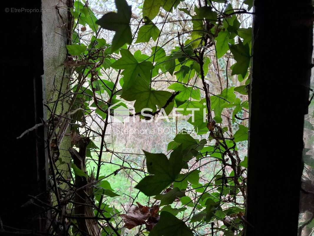 Photo 5 - Maison à DURTAL