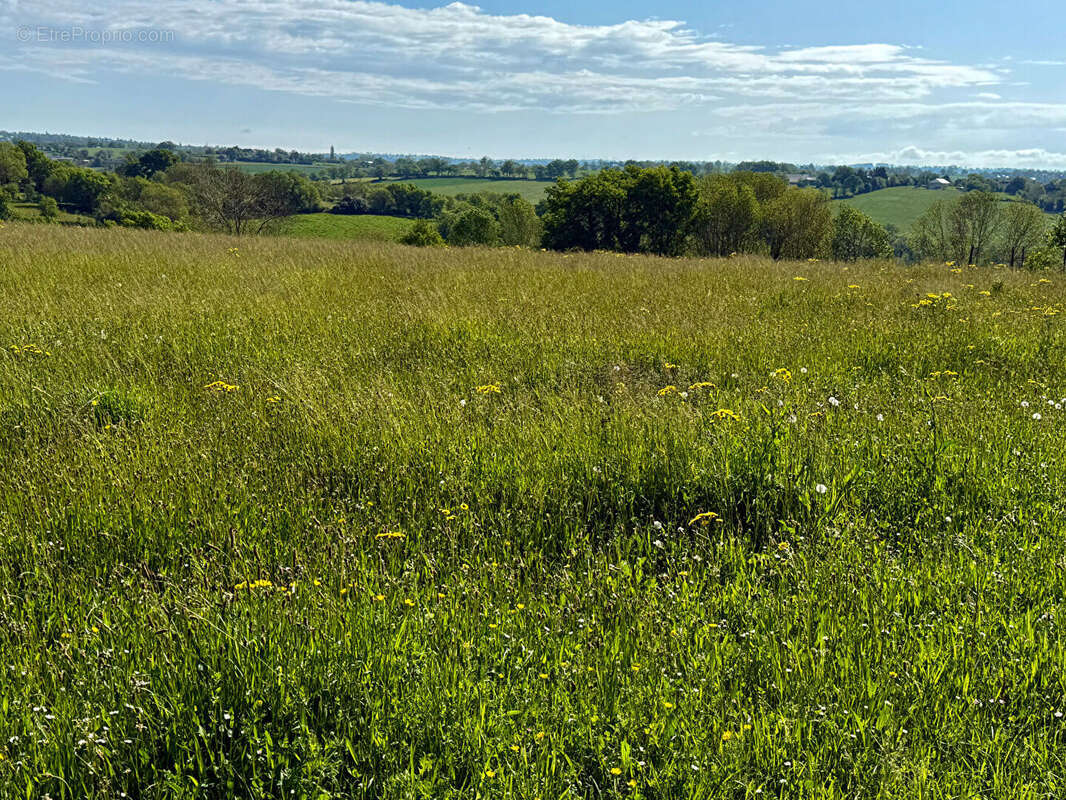 Terrain constructible 2100m2  - Sainte Juliette Sur Viaur - photo 4