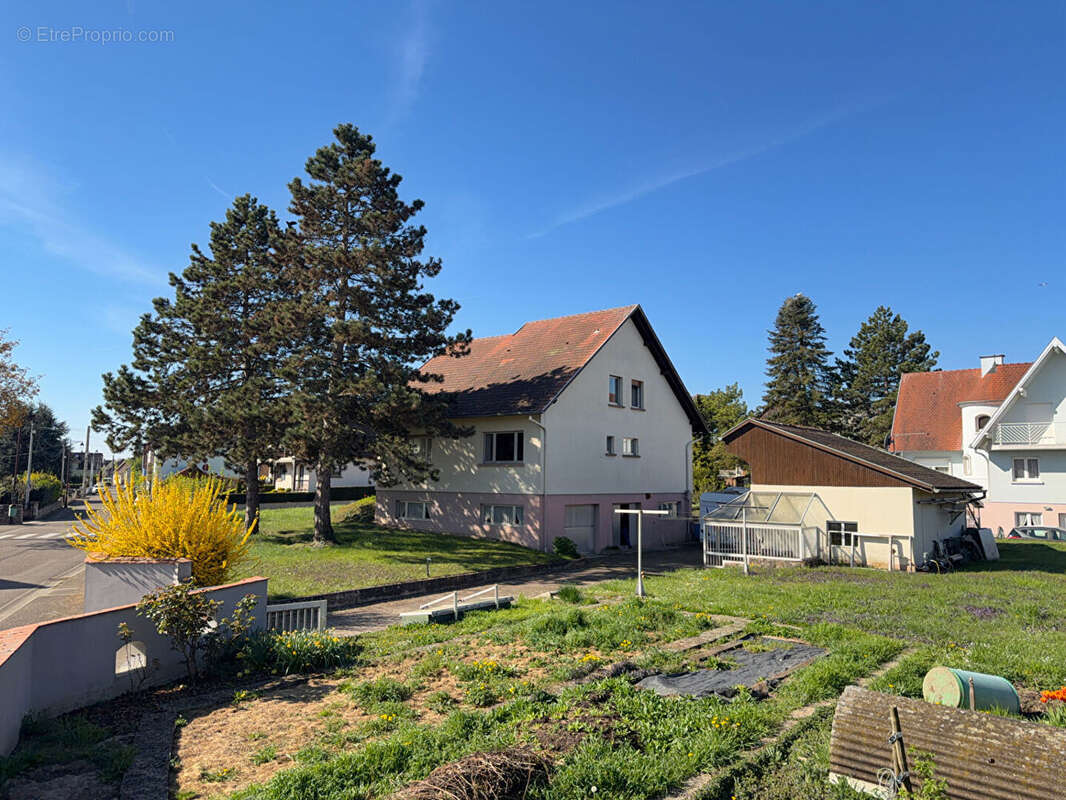 Krautergersheim - Maison familiale de caractère -135 m² sur 13 ares - photo 14