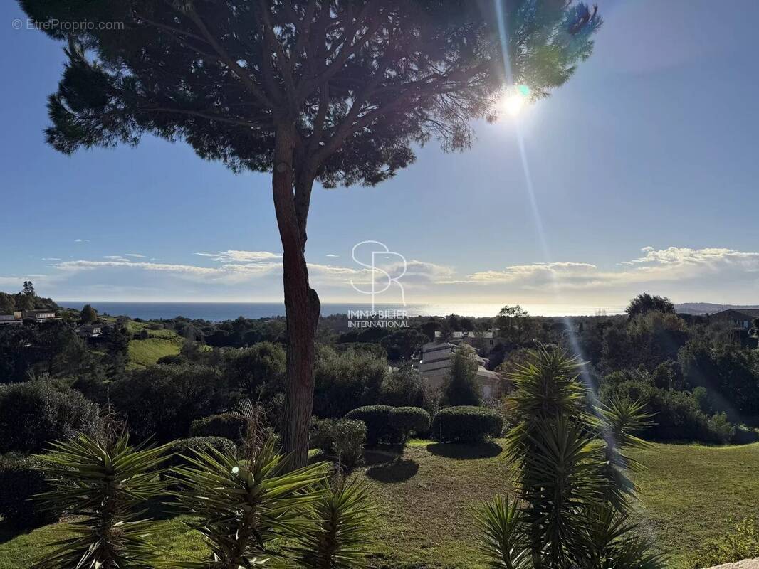 Appartement à VILLENEUVE-LOUBET