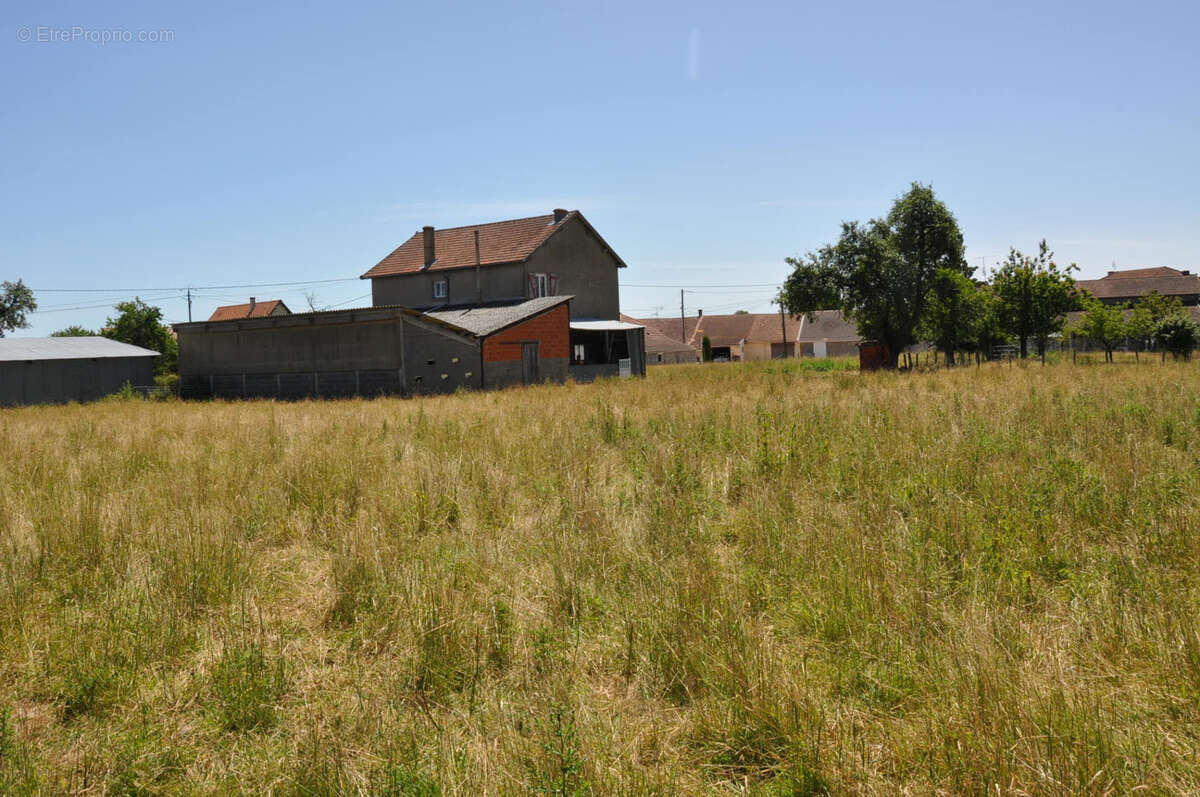 Maison à LE BOUCHAUD