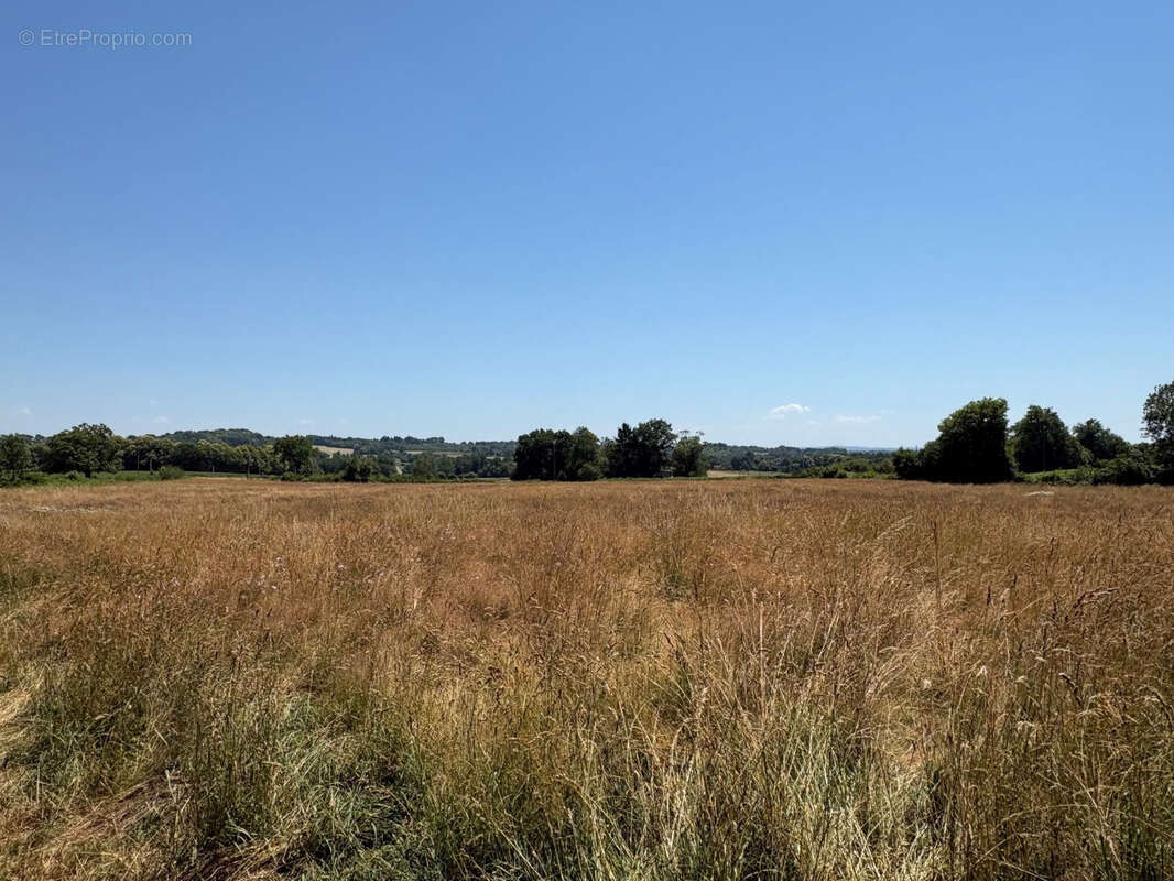 Coussac Bonneval : Authentique corps de ferme sur 4,2 hectares - photo 16
