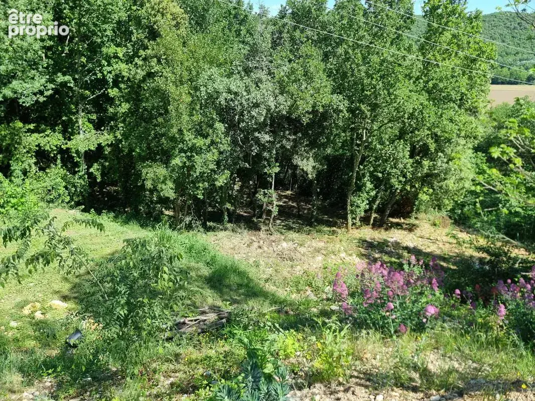 Propriété Unique en Cévennes : Chalet en Fustes, Dépendance & 2,7 Hectares de Nature - photo 7