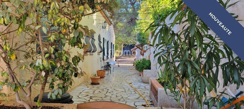 Maison à DRAGUIGNAN