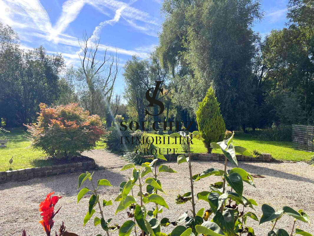 Maison à FREVIN-CAPELLE