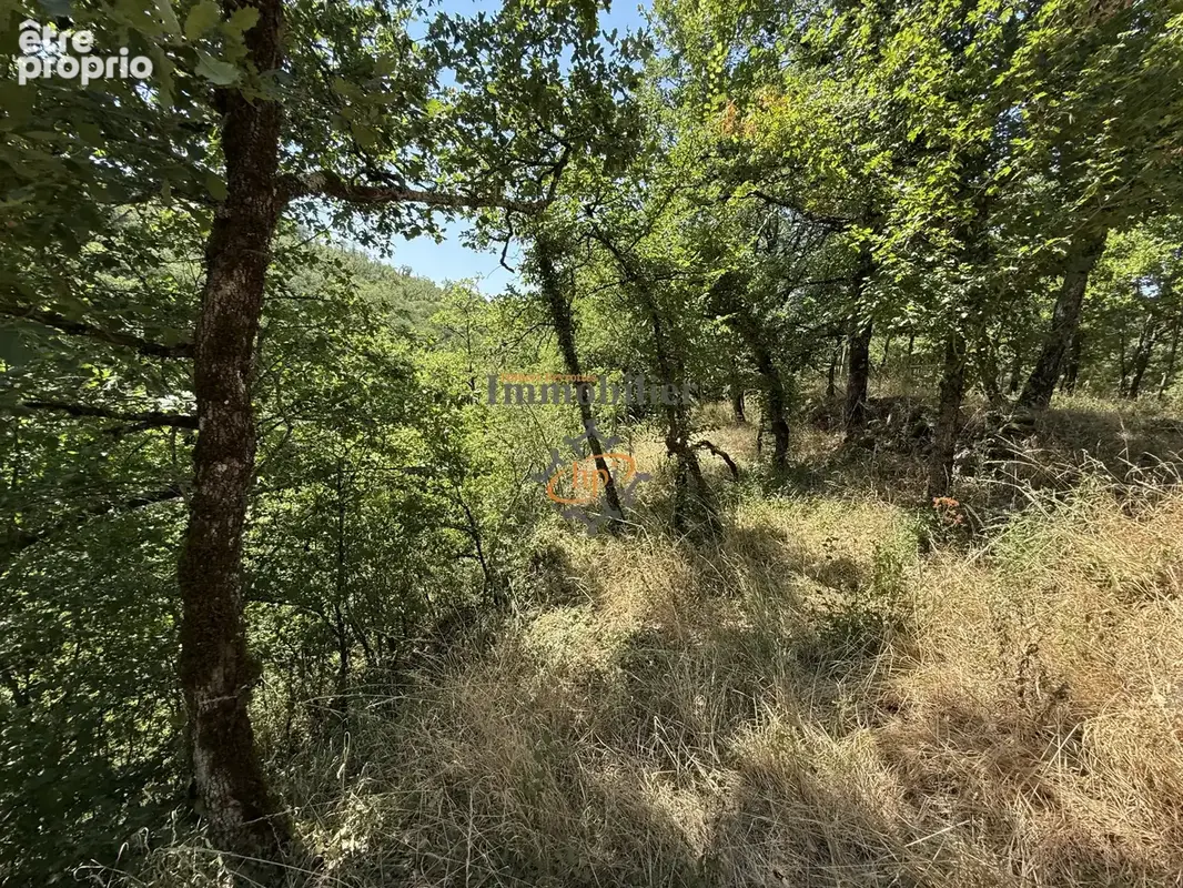Vente Mazet sur 1,29 hectares de terrains bordé par ruisseau Saint Affrique, - photo 18