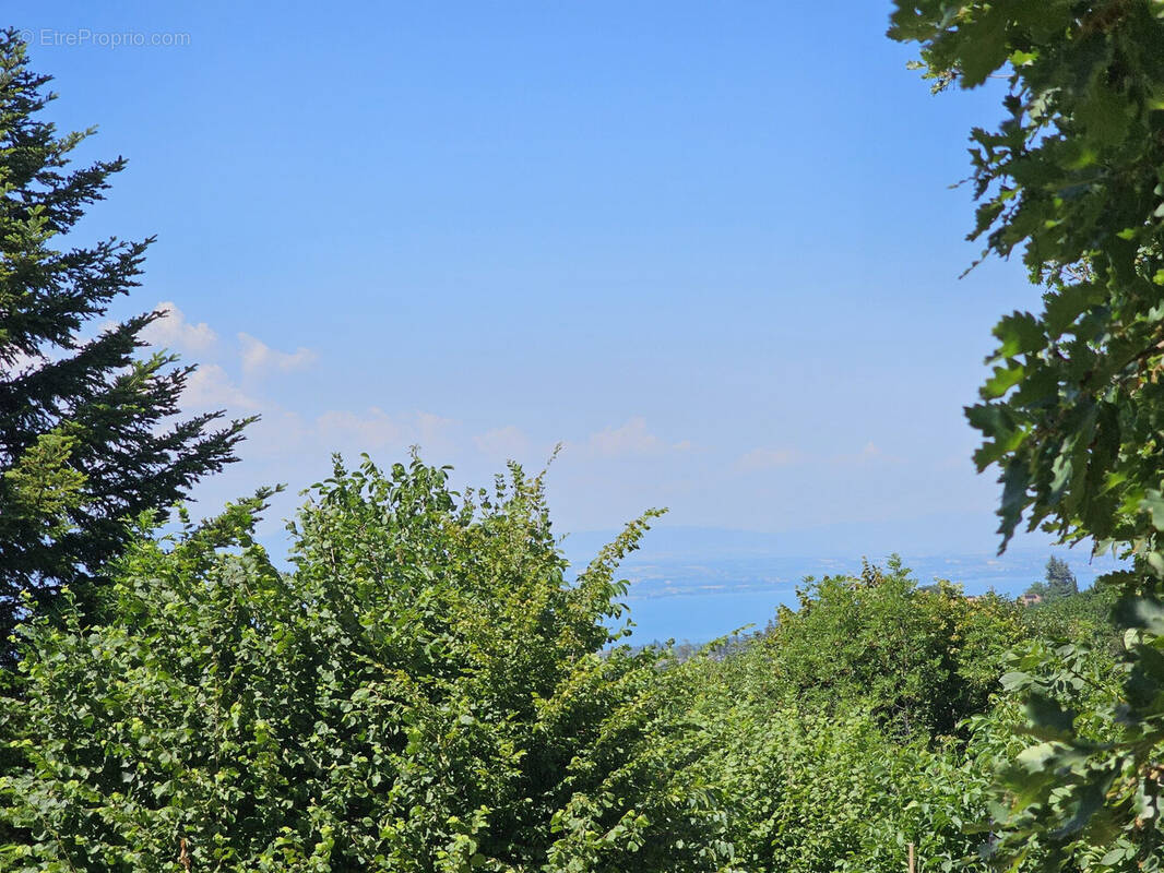 Terrain à ARMOY