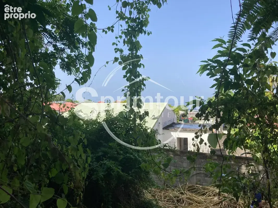 À vendre   Terrain constructible de 2999 m2 à Basse-Terre - photo 20