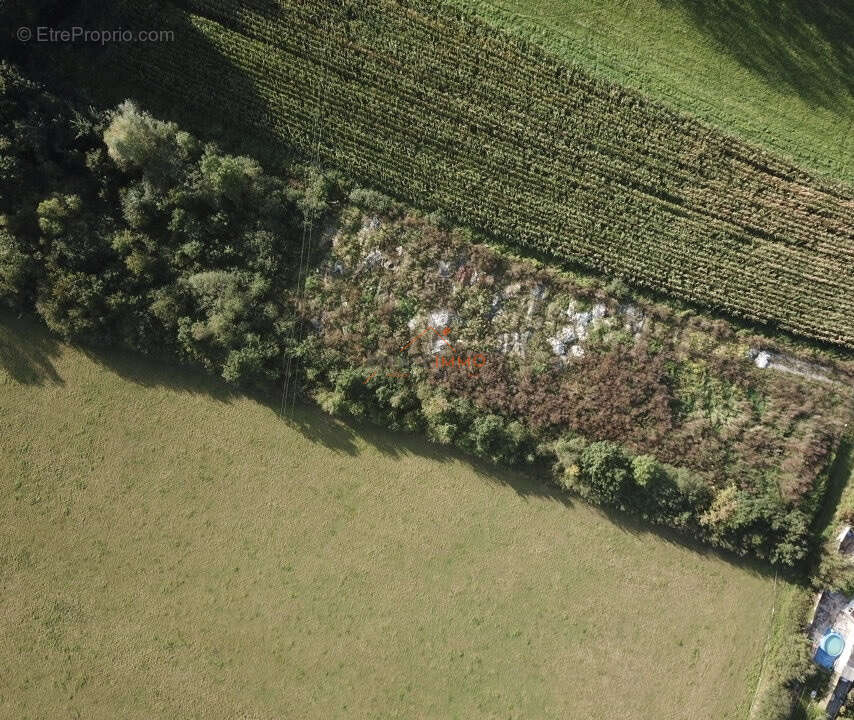 WALLERS Terrain de loisir 4300m2 - photo 3