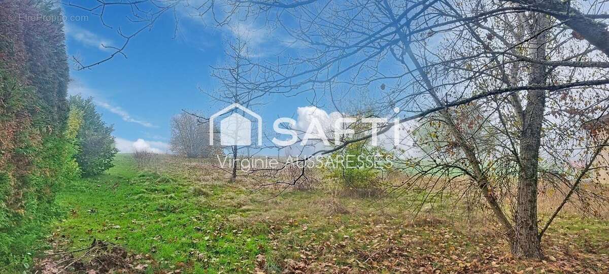 Terrain 935 m² à Comberouger  - photo 2