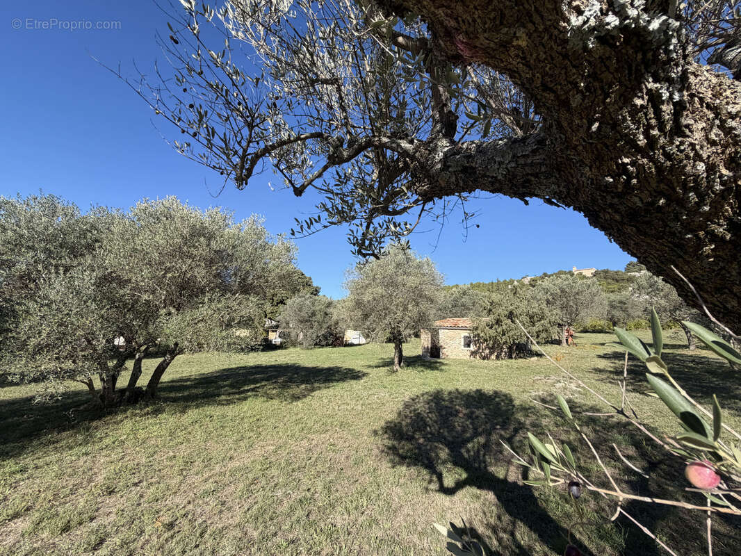 Terrain à MOISSAC-BELLEVUE