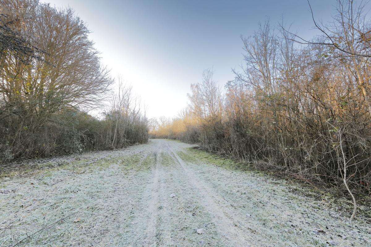 Terrain à PRESLES-EN-BRIE