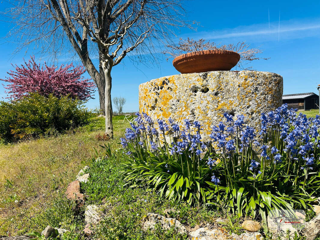 Maison à SAINT-ANTOINE-DE-BREUILH