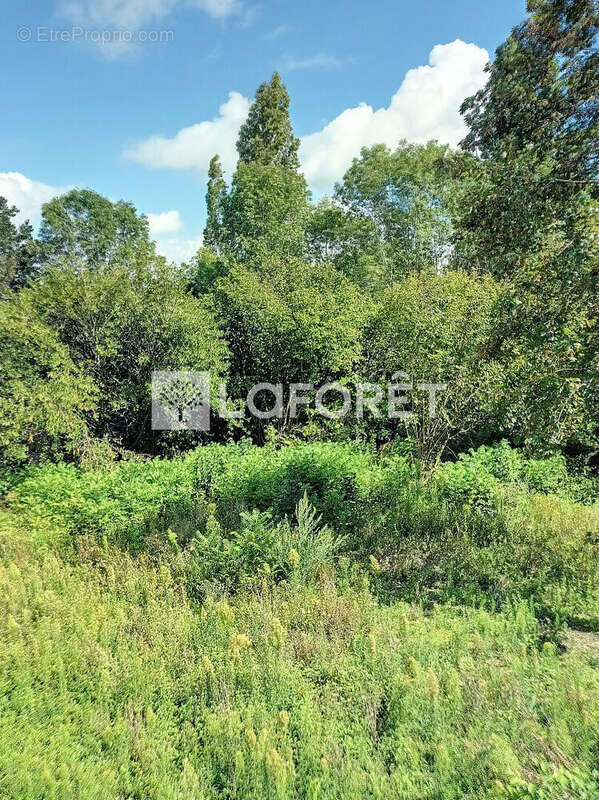 Maison à VILLENNES-SUR-SEINE