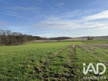 Terrain 1572 m² à Emeville  - photo 3