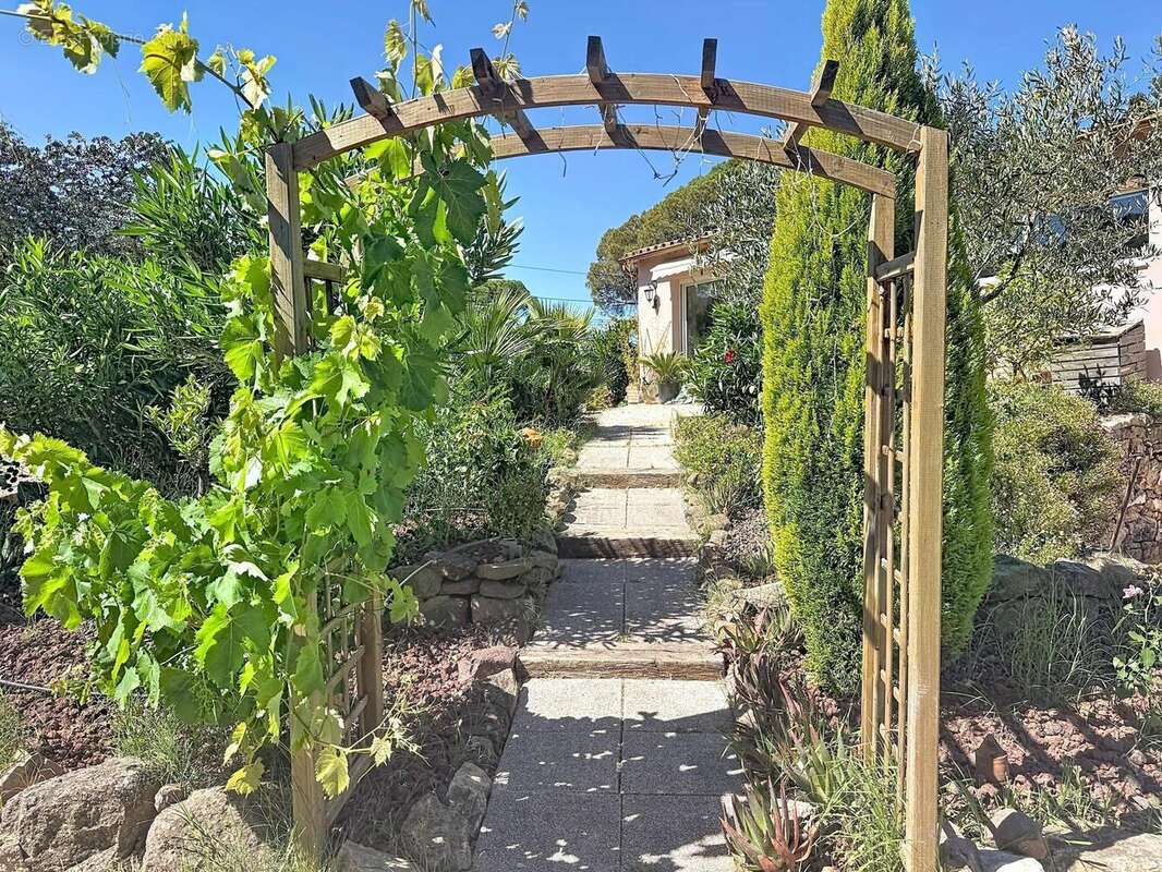 Photo 3 - Maison à PUGET-SUR-ARGENS