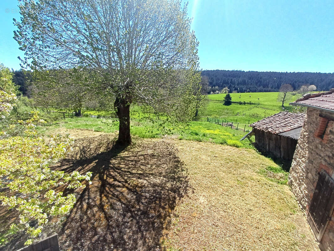 Maison à LA CHAISE-DIEU