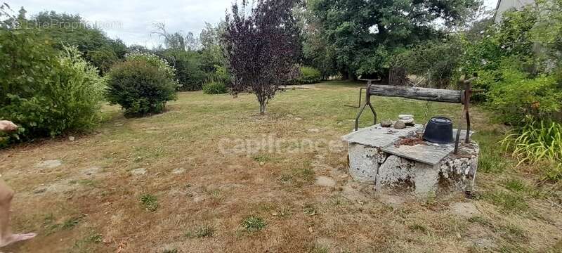 Maison à vendre 4 pièces BUXIERES LES MINES (03) - photo 22