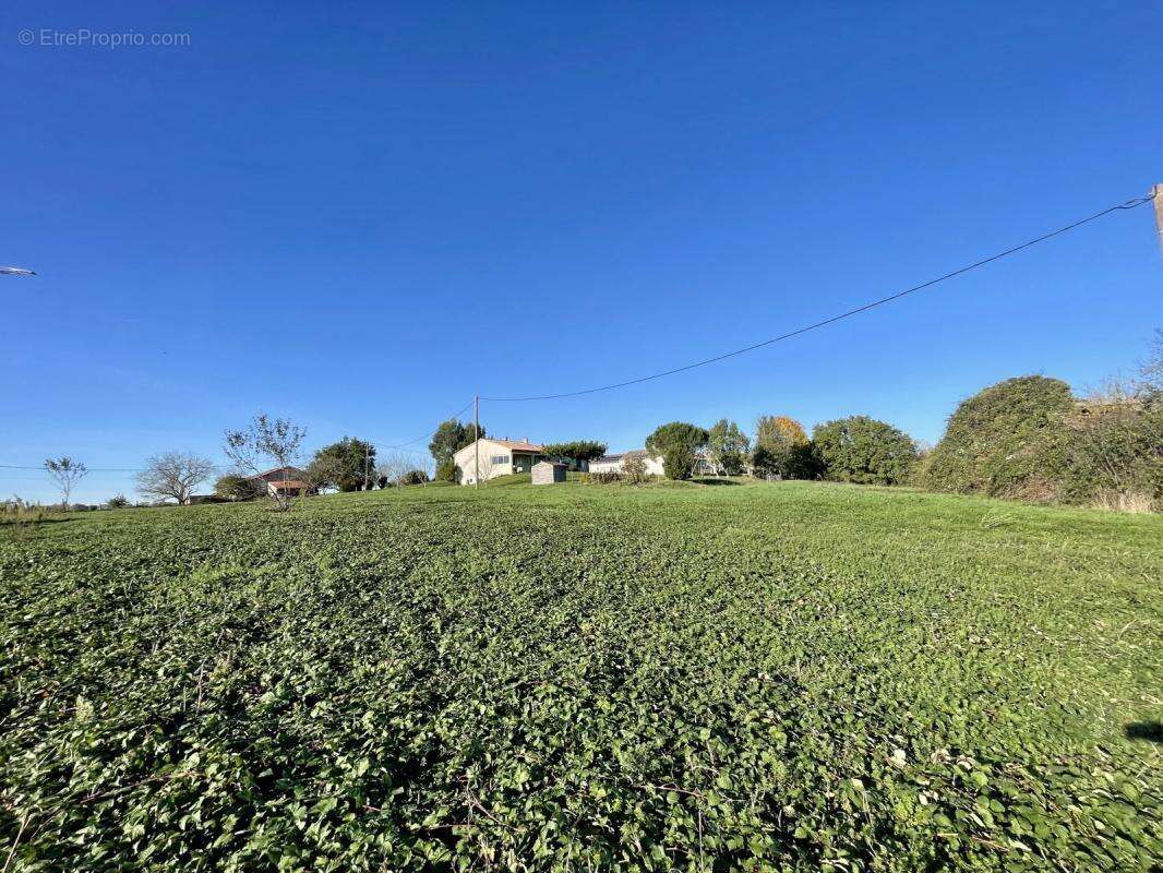 Terrain à BELLEGARDE