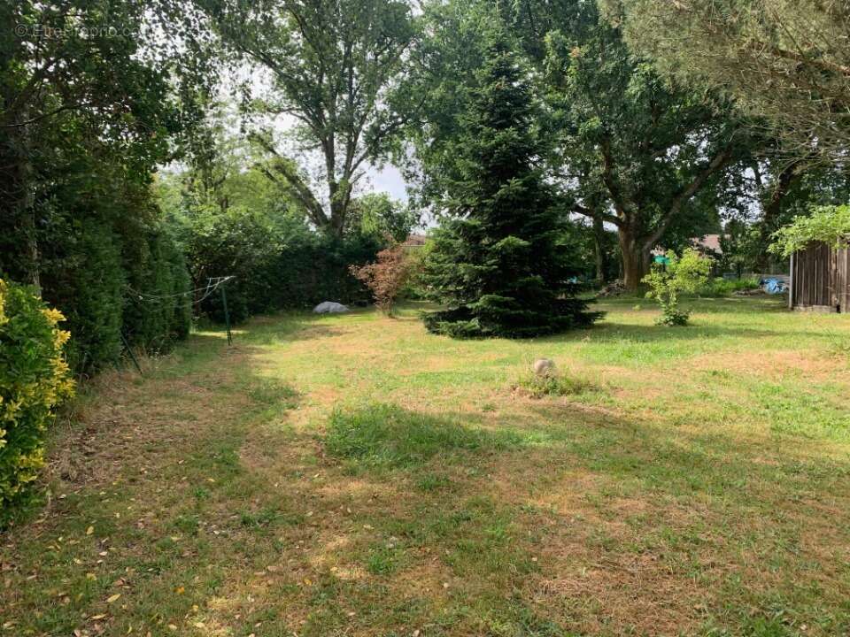 Terrain 400 m² à Listrac-Medoc  - photo 2