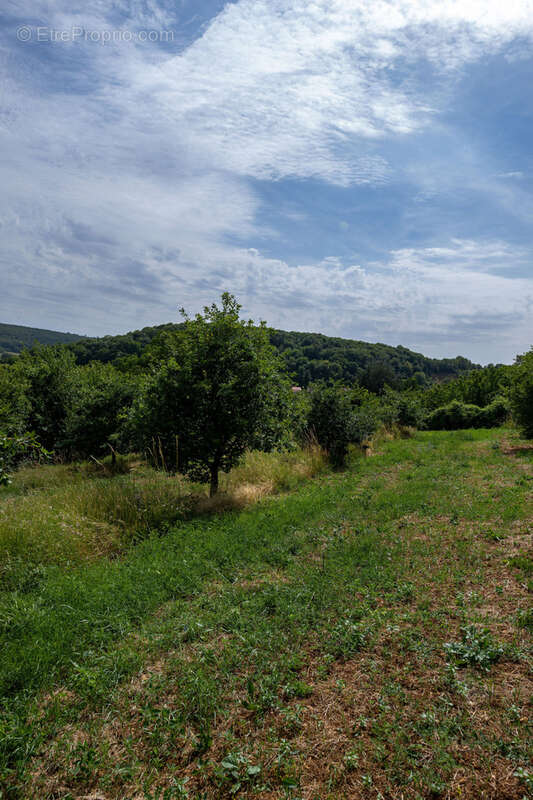 Terrain à COMMERCY