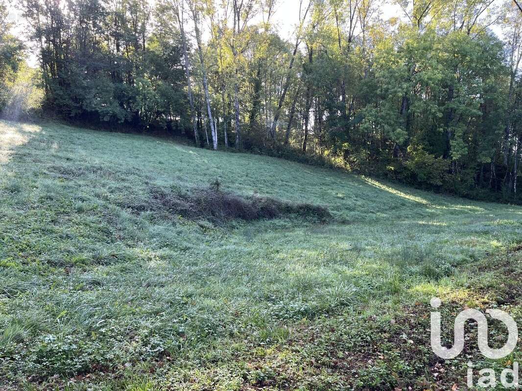 Photo 3 - Terrain à SAINT-VIANCE