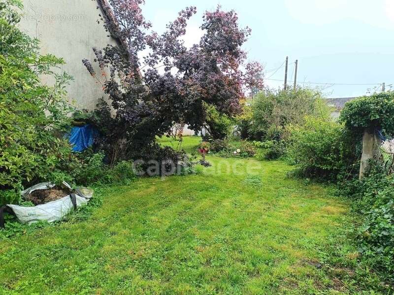 Maison à LES BORDES