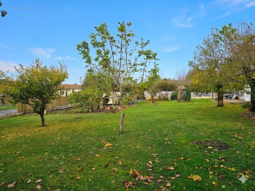 Terrain à MARTILLAC