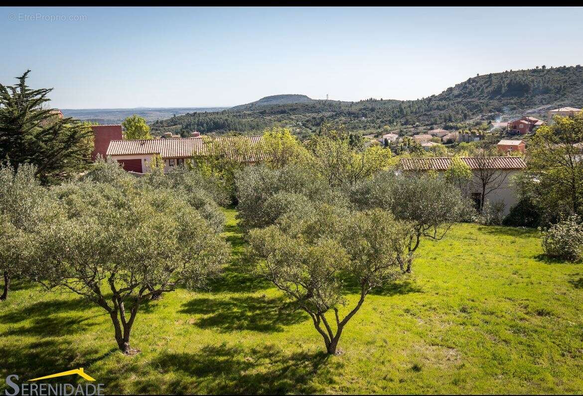 Terrain 2657 m² à Pezenas  - photo 3