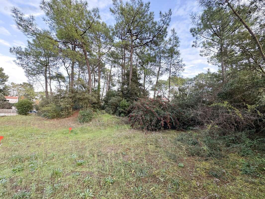 Vue du fond - Terrain à SAINT-JEAN-DE-MONTS