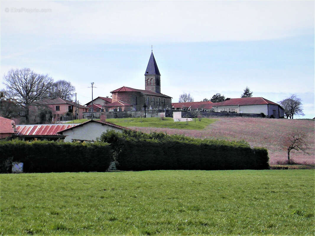 Terrain à VILLENEUVE-DE-MARC