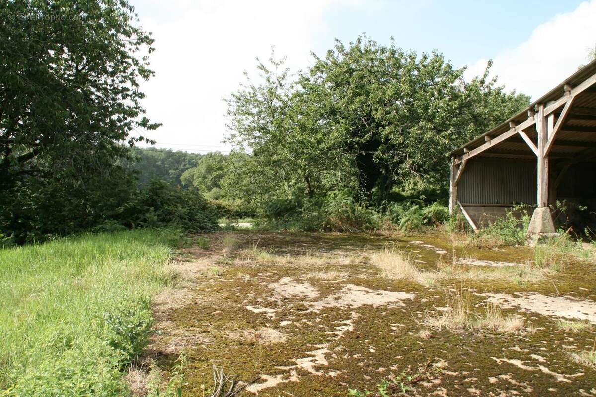 Vente Terrain Guehenno(56420) 34 000ï¿œ - photo 5